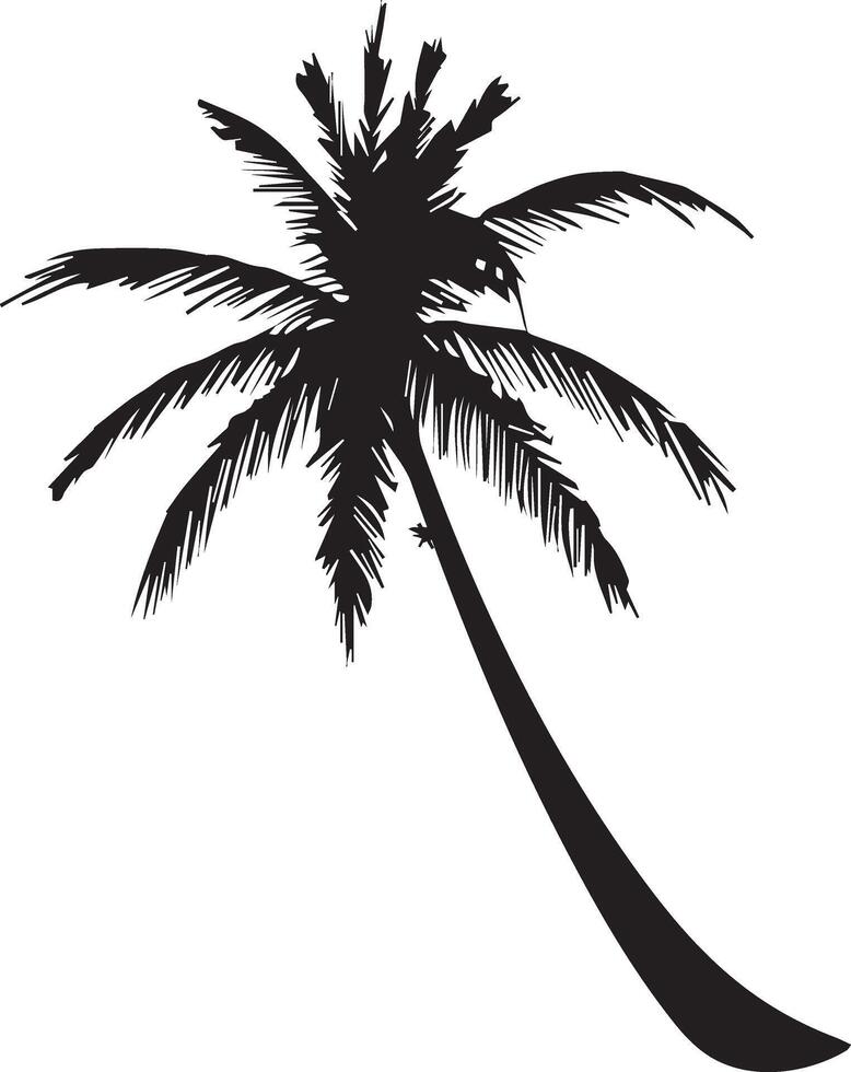 Coconut tree silhouette vector