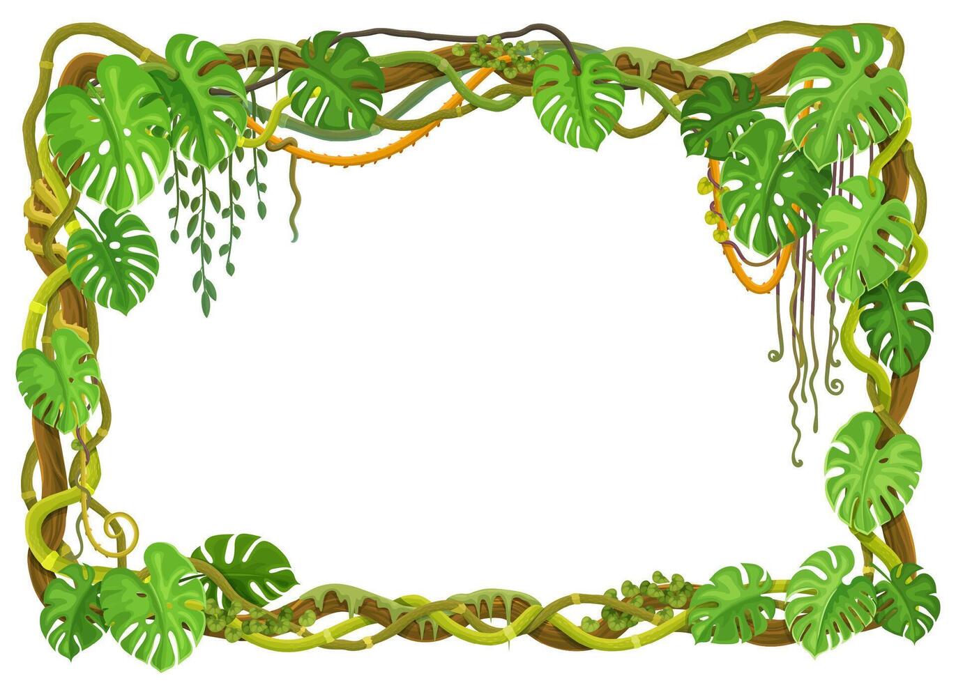 Tropical forest liana frame with jungle plants vector
