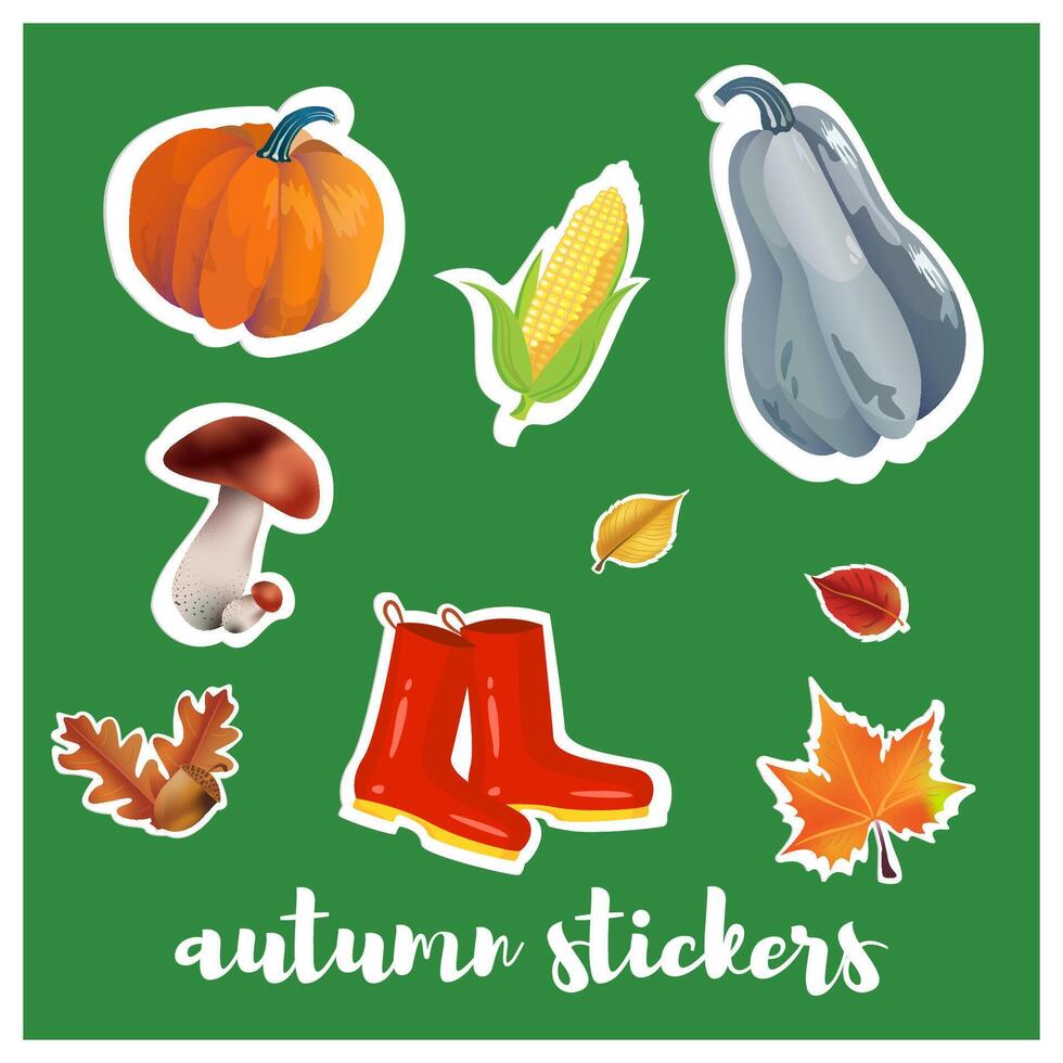 Autumn sticker set elements. Fall leaves, mushrooms, maple, acorns, oak, pumpkins. Harvest time. Colored trendy illustration. Green background vector