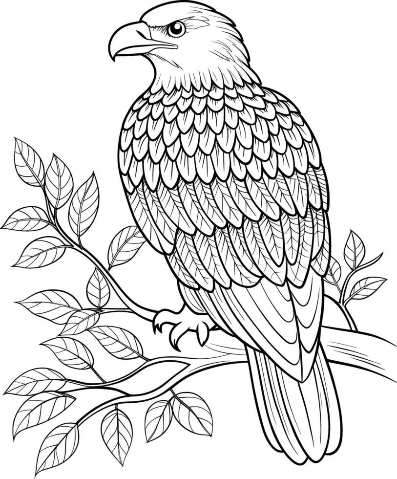 Eagle on Branch Coloring Page for Teens - Simple Outline vector