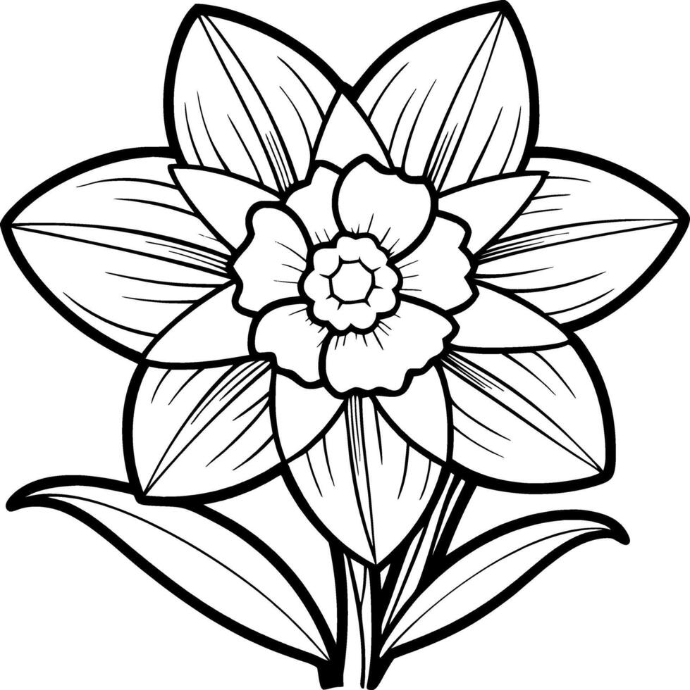 Daffodil Coloring Page for Kids - Simple Outline vector