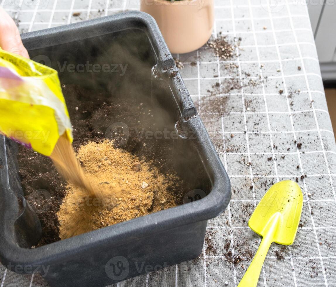 Ingredients for the soil of home potted plants, peat, earth, sand, perlite, vermiculite, coconut. A mixture for planting plants in a pot florist's gloved hands are mixing in a container photo