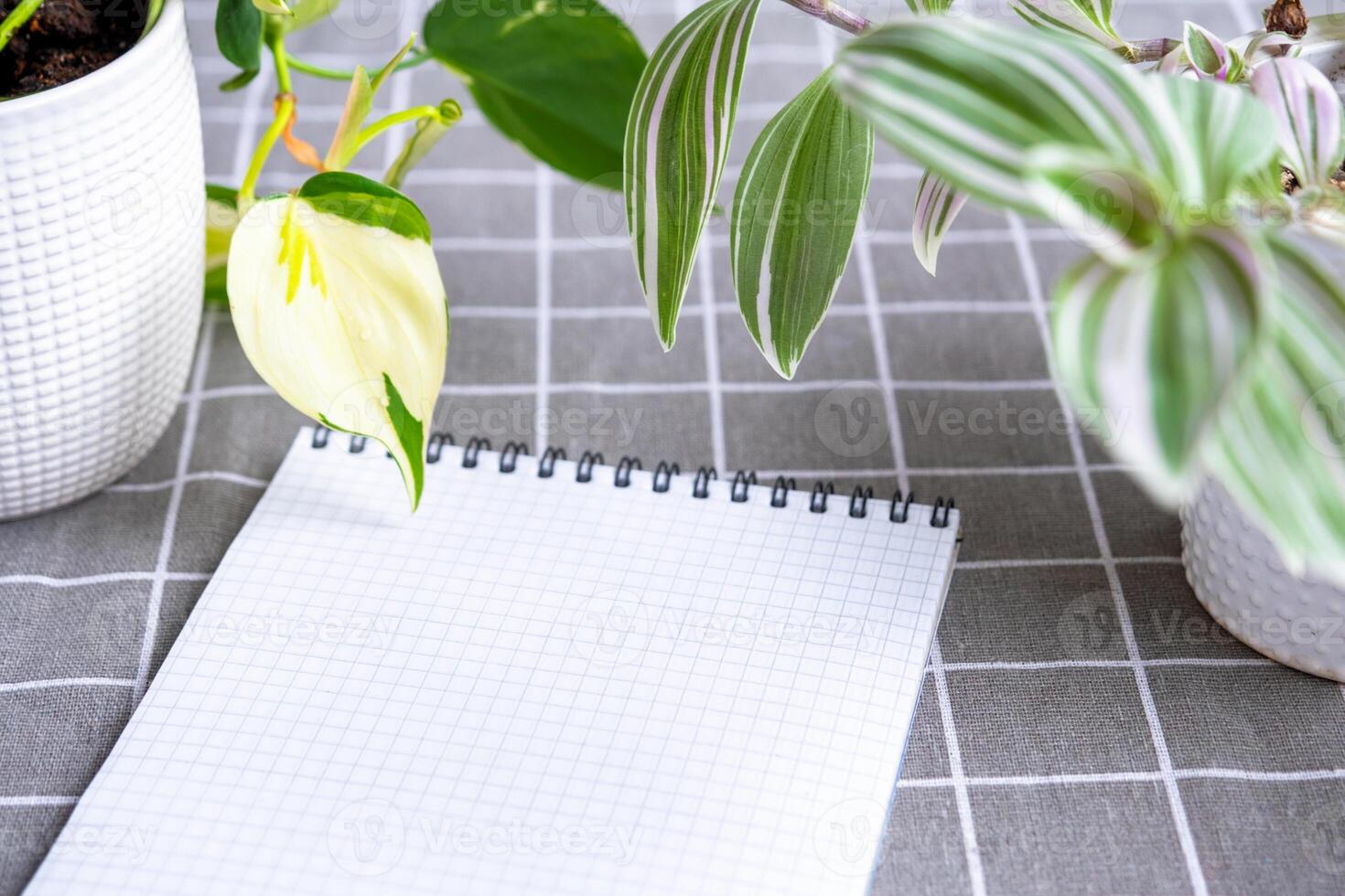 An empty mock up notebook with a pen on a table with home potted plants. Recording recommendations for plant care photo