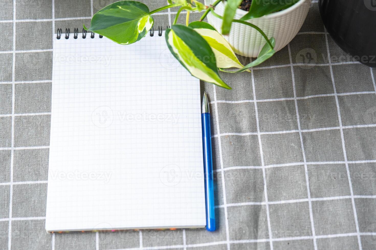 An empty mock up notebook with a pen on a table with home potted plants. Recording recommendations for plant care photo