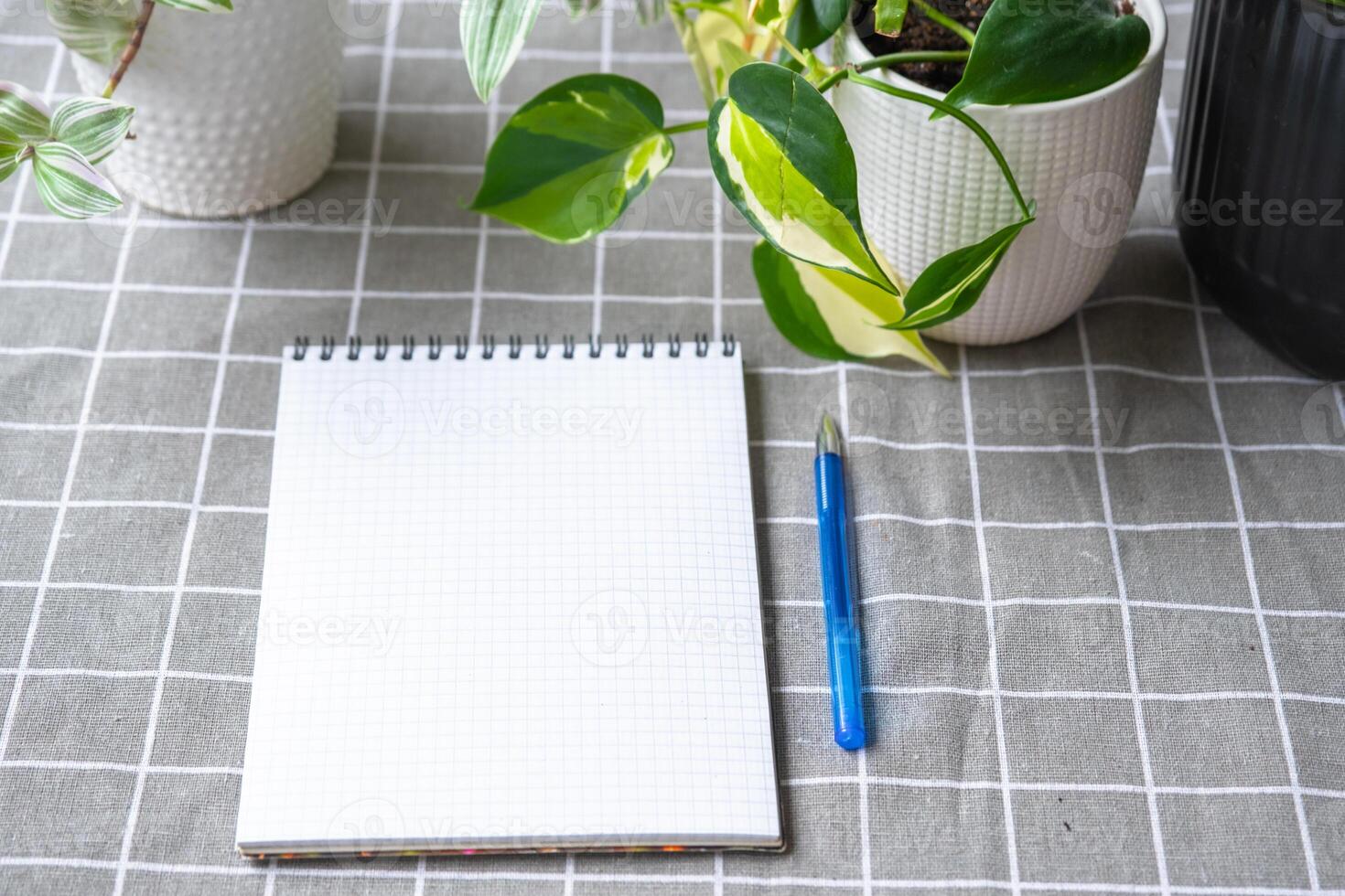 An empty mock up notebook with a pen on a table with home potted plants. Recording recommendations for plant care photo