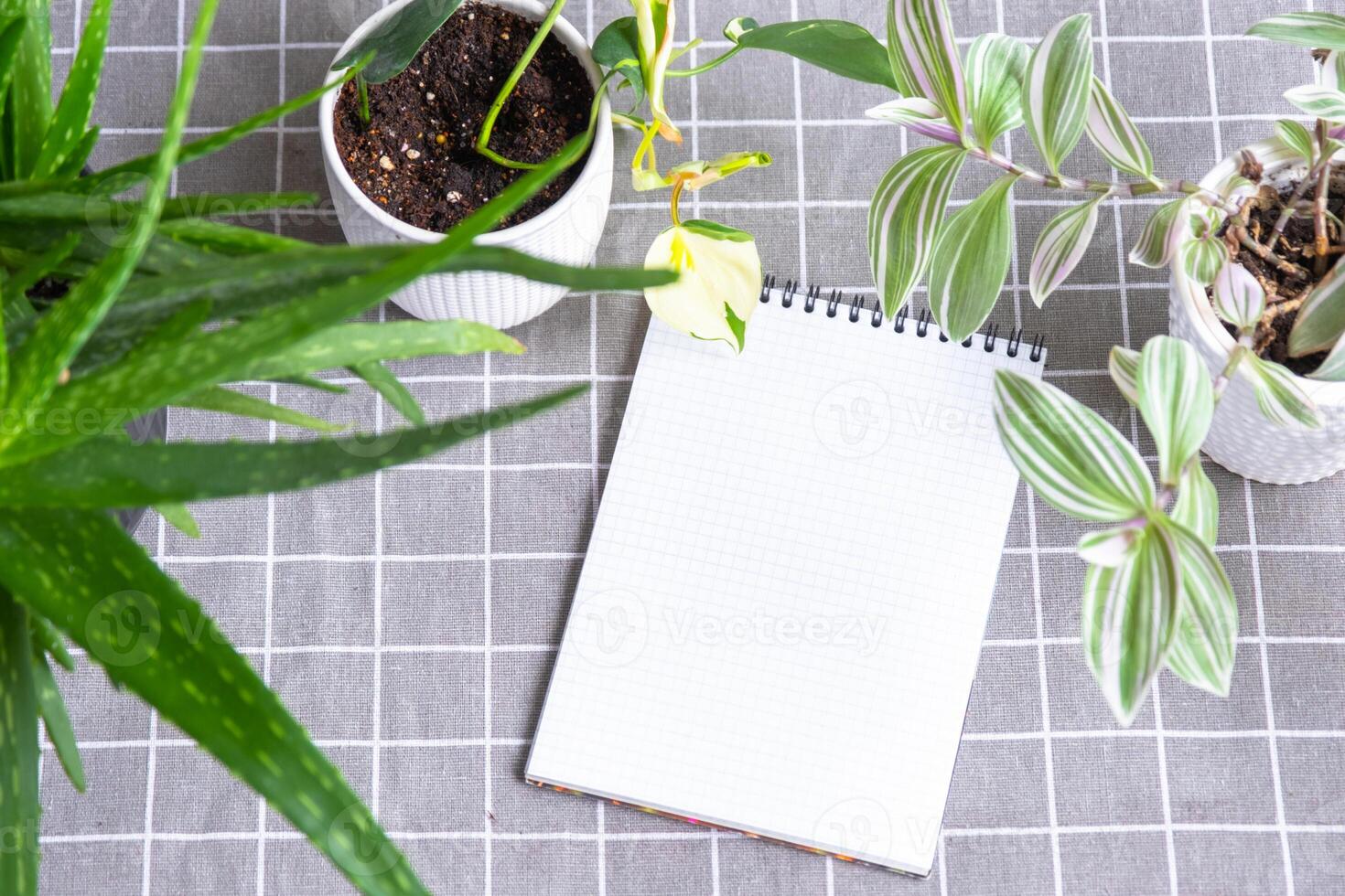 An empty mock up notebook with a pen on a table with home potted plants. Recording recommendations for plant care photo
