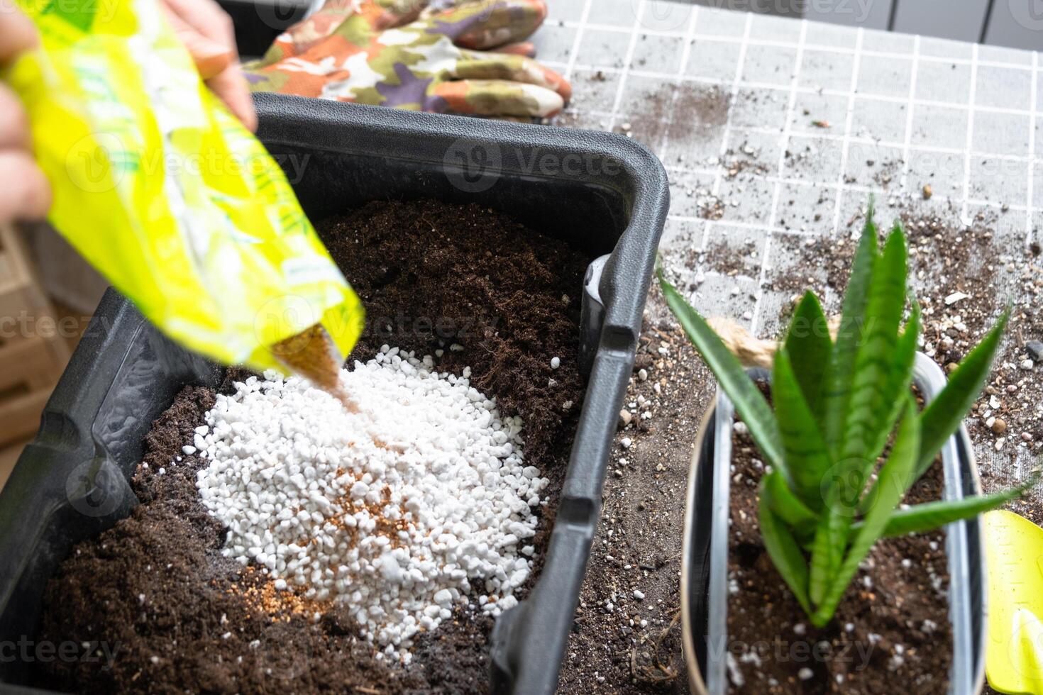 Ingredients for the soil of home potted plants, peat, earth, sand, perlite, vermiculite, coconut. A mixture for planting plants in a pot florist's gloved hands are mixing in a container photo