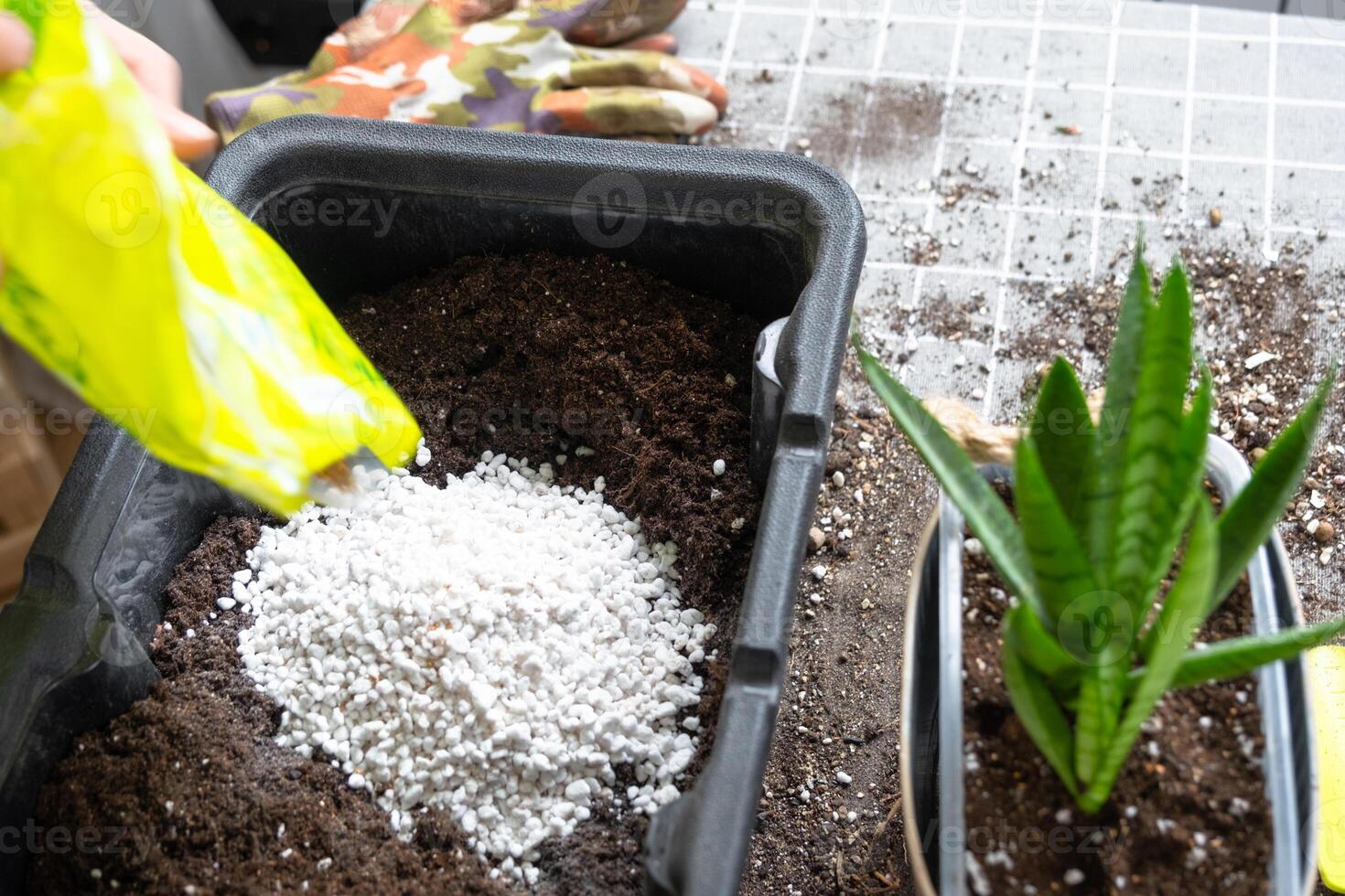 Ingredients for the soil of home potted plants, peat, earth, sand, perlite, vermiculite, coconut. A mixture for planting plants in a pot florist's gloved hands are mixing in a container photo
