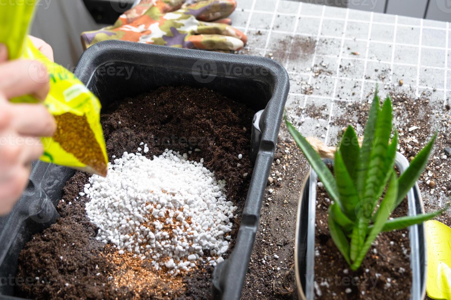 Ingredients for the soil of home potted plants, peat, earth, sand, perlite, vermiculite, coconut. A mixture for planting plants in a pot florist's gloved hands are mixing in a container photo