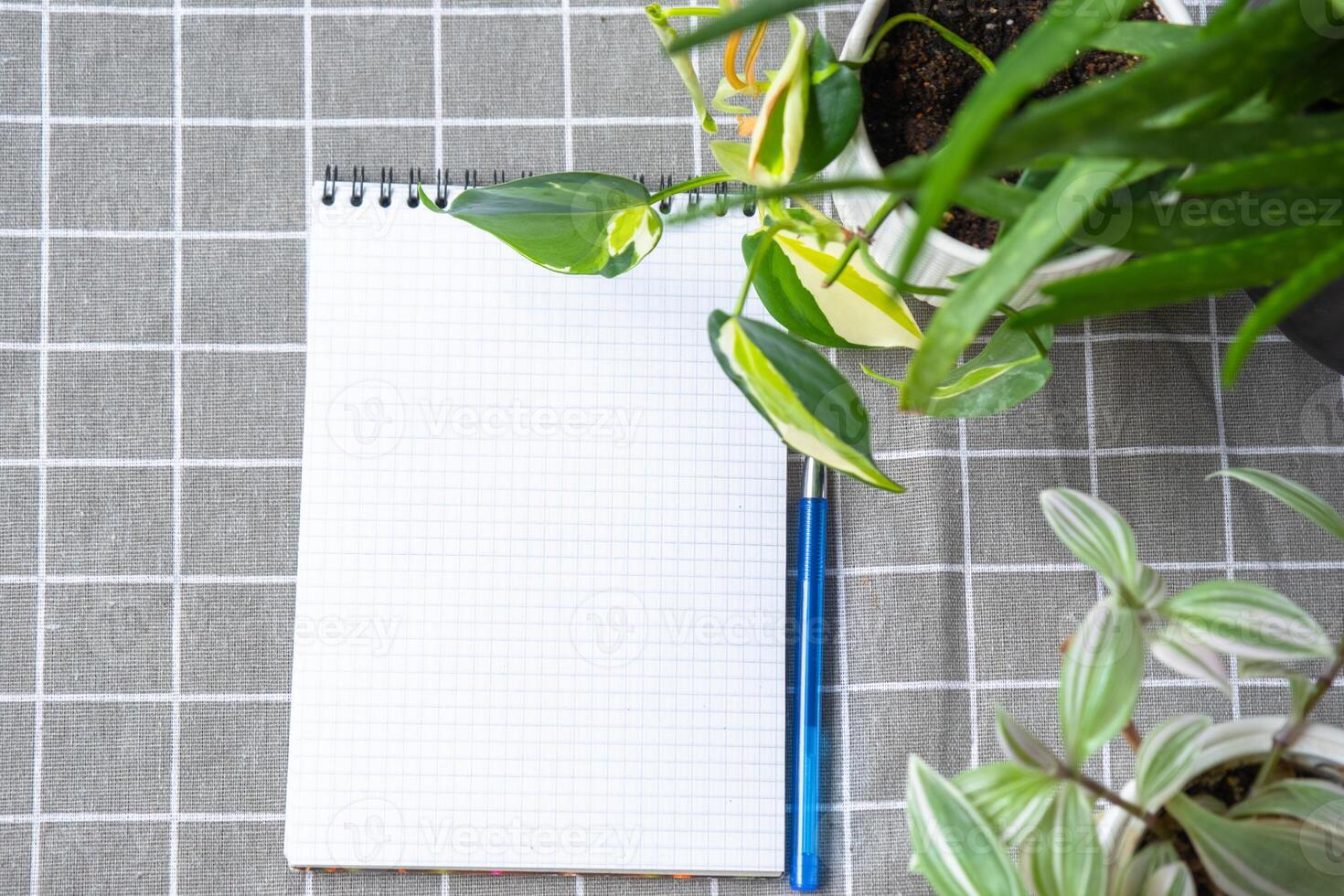 An empty mock up notebook with a pen on a table with home potted plants. Recording recommendations for plant care photo