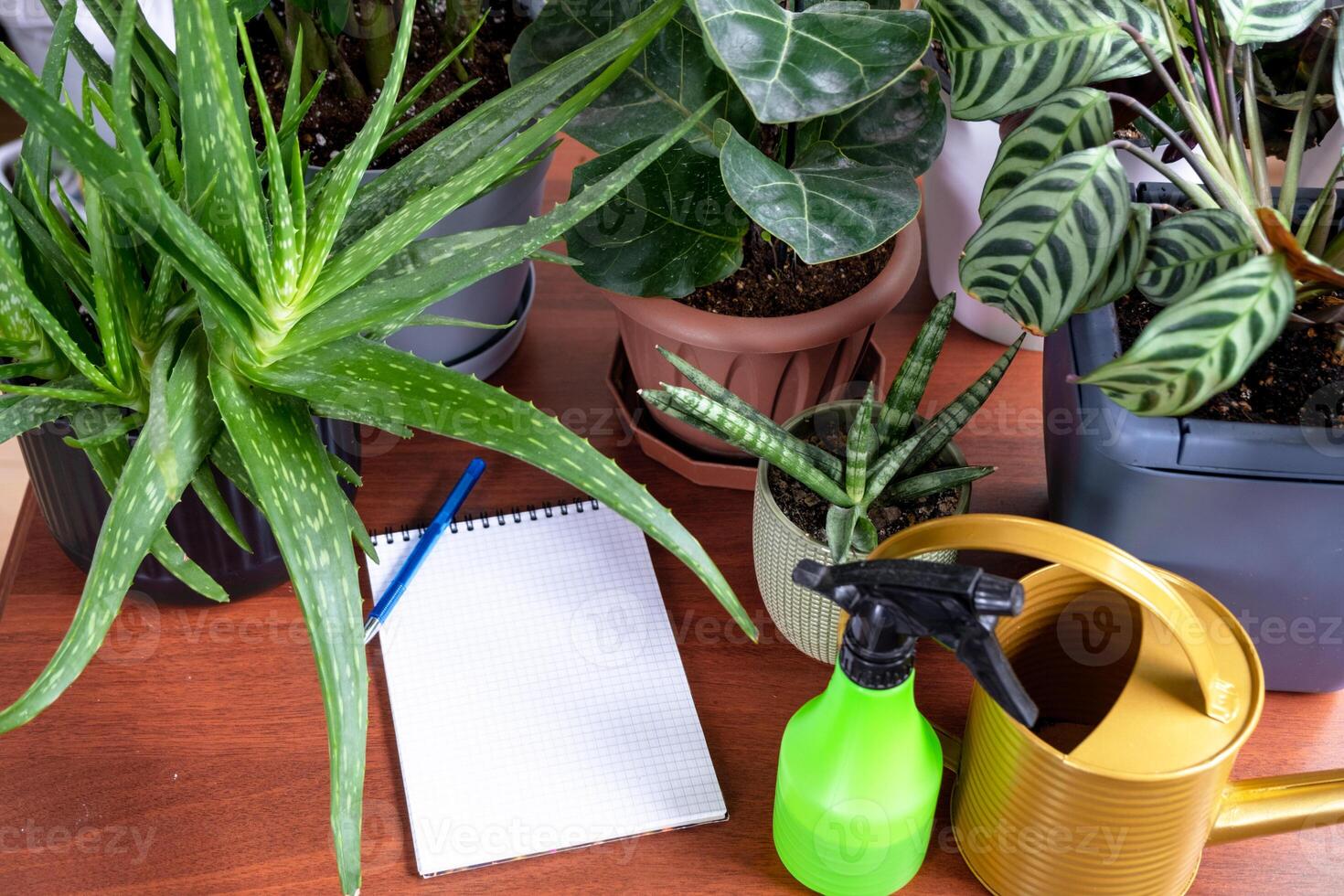 An empty mock up notebook with a pen on a table with home potted plants. Recording recommendations for plant care photo