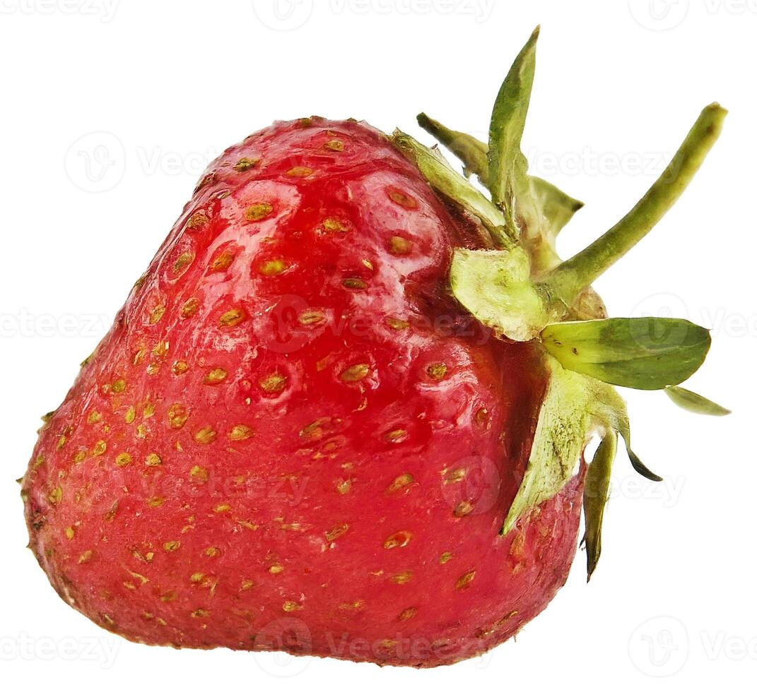 a strawberry is shown on a white background photo
