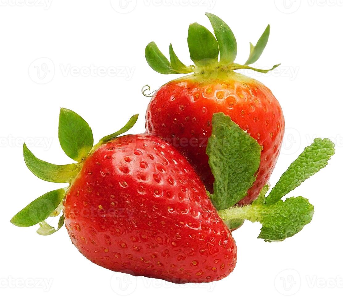 two strawberries with leaves on a white background photo