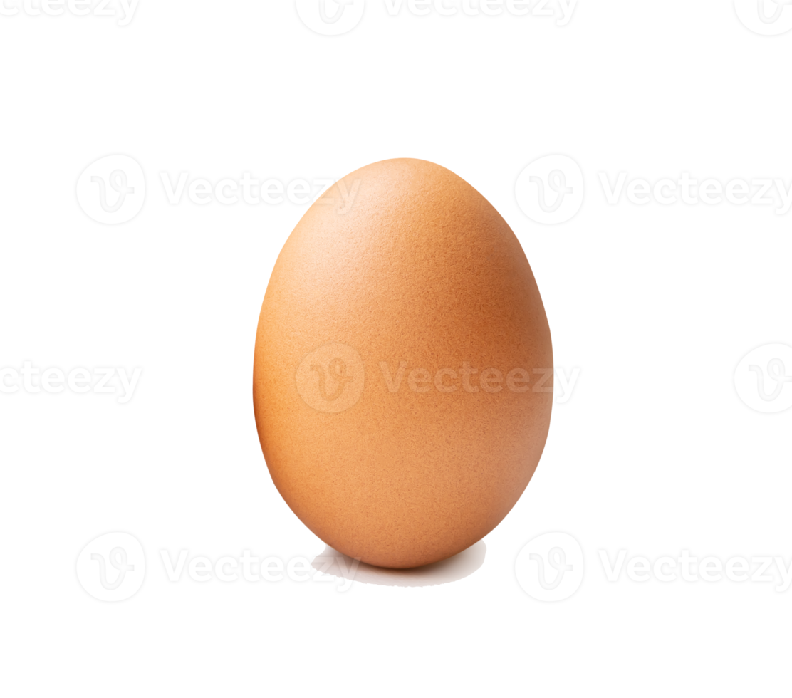 Front view of single fresh brown chicken egg isolated with clipping path in file format png