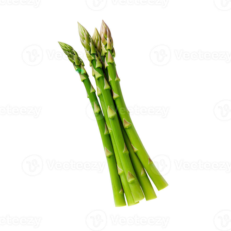 Fresh green asparagus spears isolated on white background, perfect for culinary, health, and organic food stock photography. png