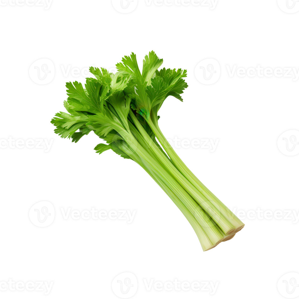 Fresh green celery stalks isolated on a white background. Crisp, healthy vegetable perfect for salads. png