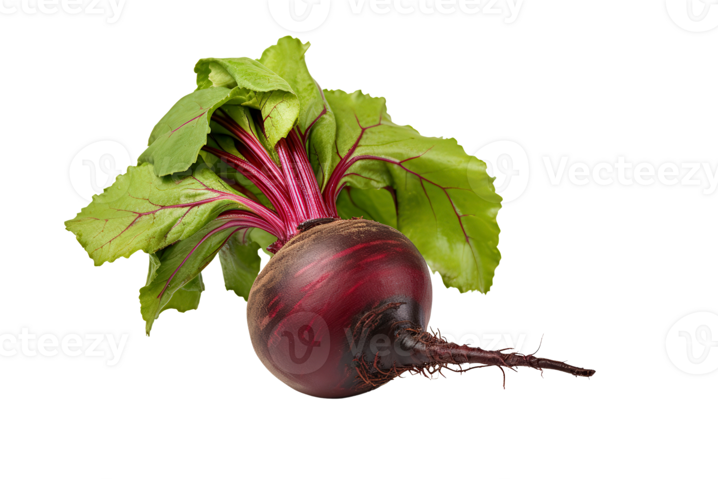 a beet on a transparent background png