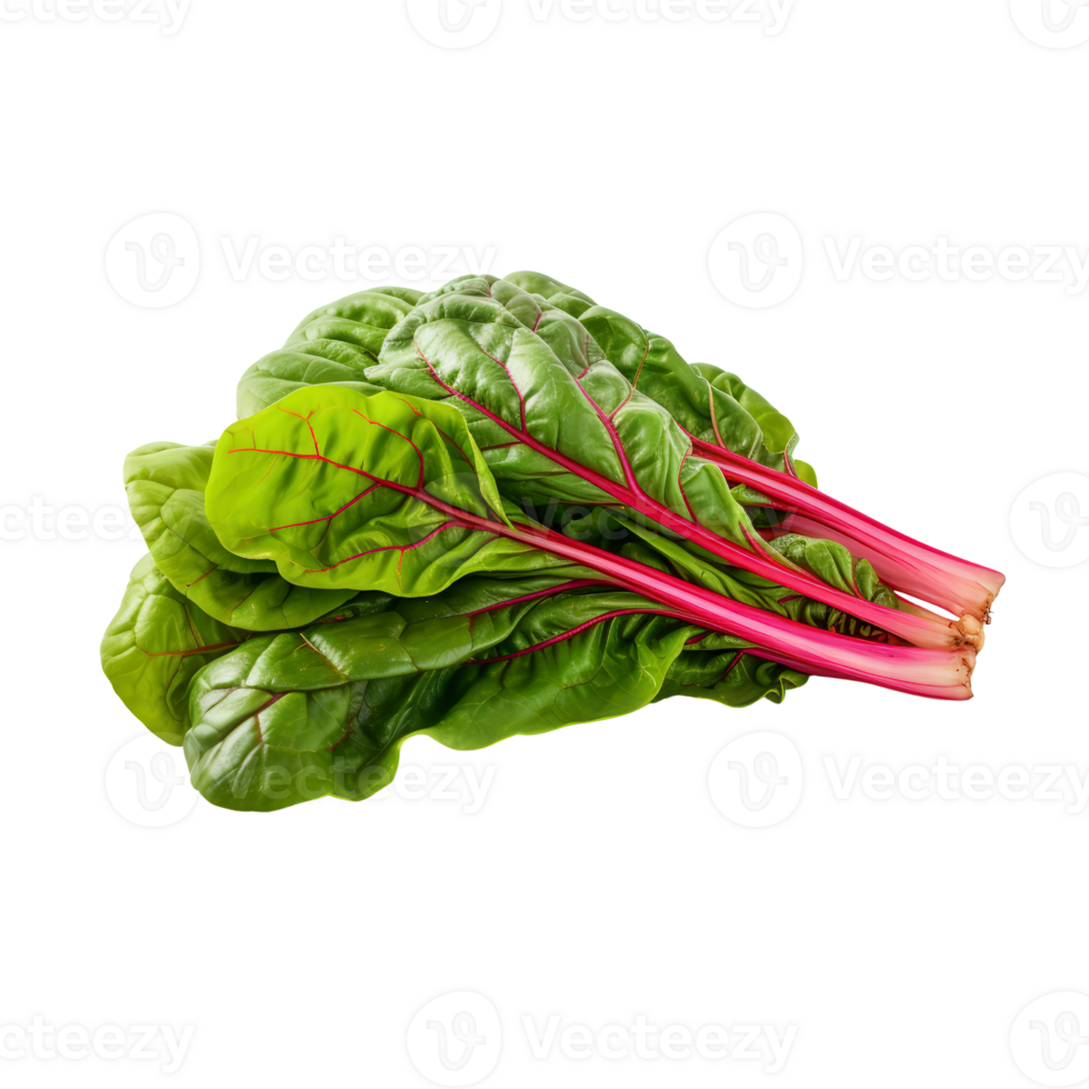 fresh swiss chard on transparent background png