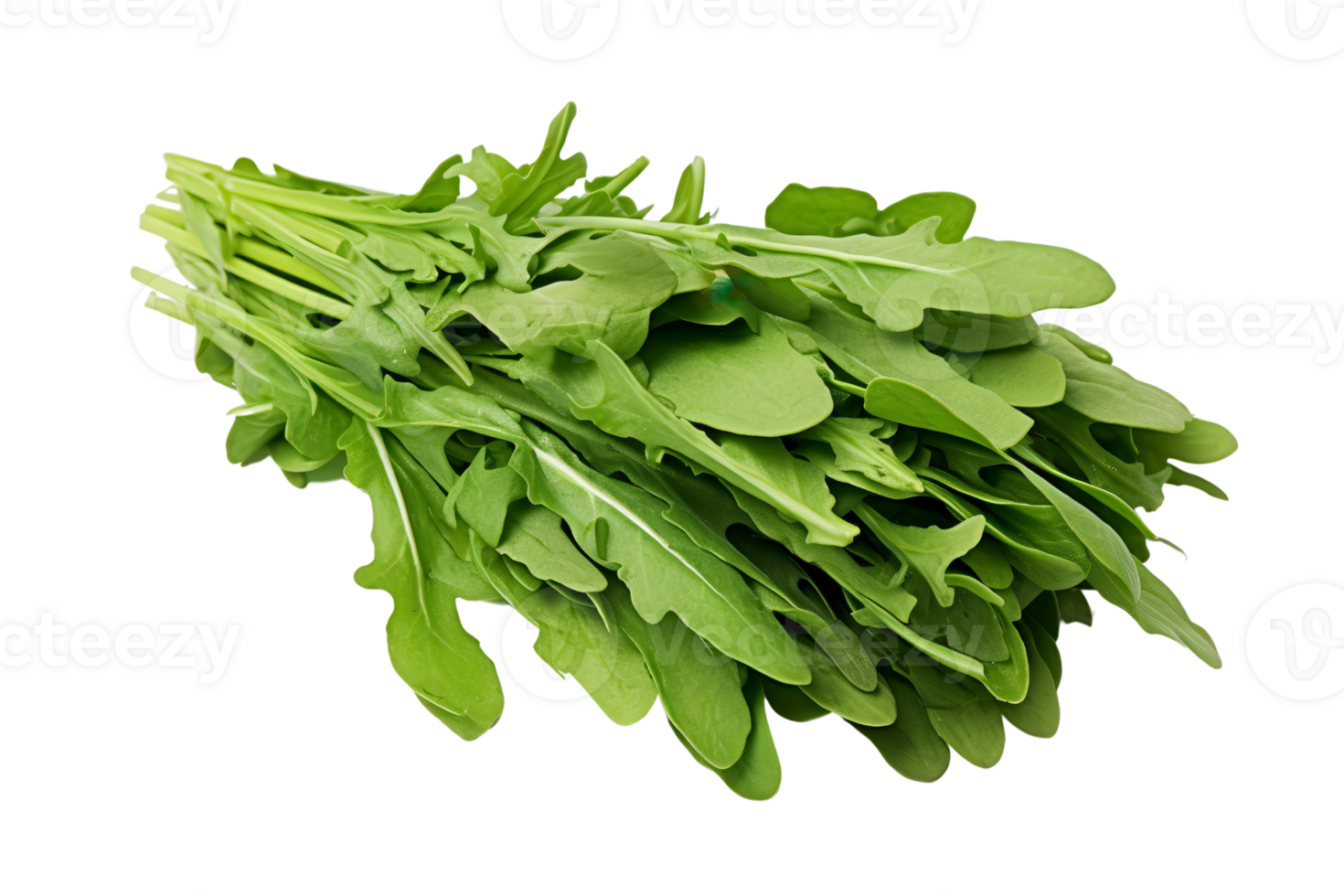 Fresh green arugula leaves in a bundle isolated on transparent background. Perfect for salad, garnish, or healthy cooking. png