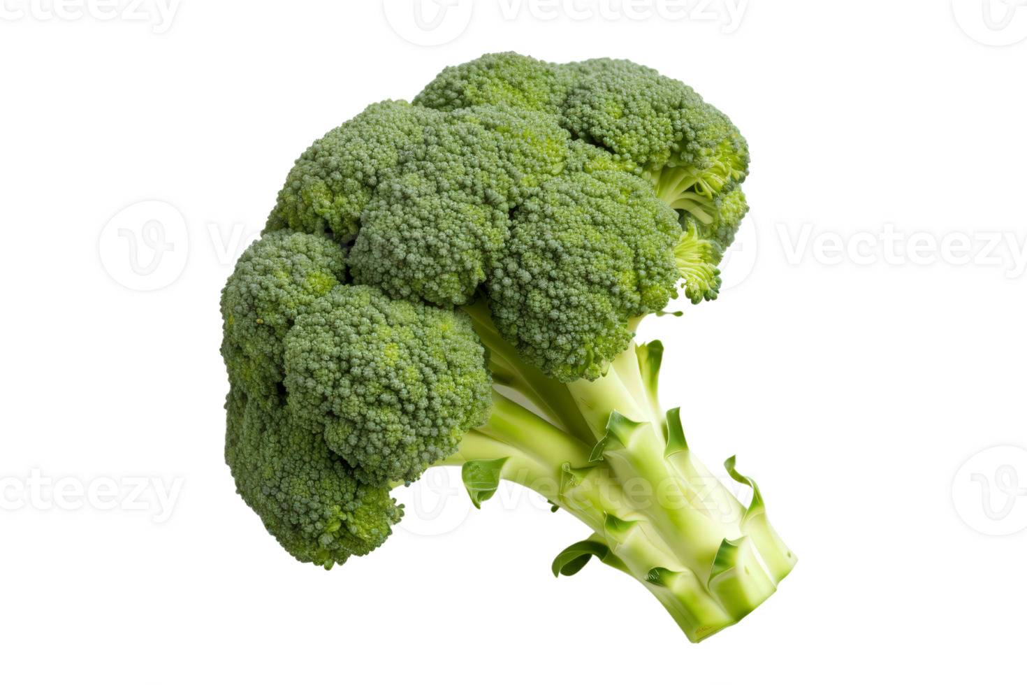 Fresh green broccoli head isolated on transparent background. Perfect for healthy eating, vegetarian, and organic food concepts. png