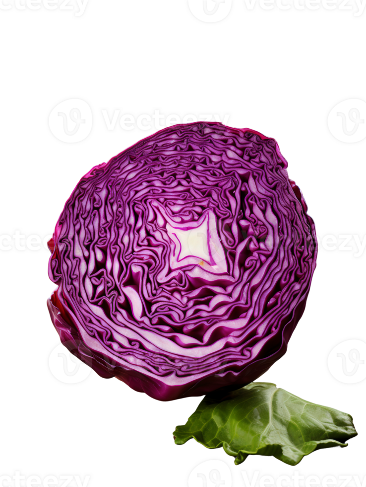 a purple cabbage on a Transparent background png