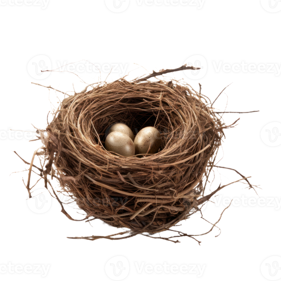 Bird's Nest With Three Eggs On Isolated Background. png