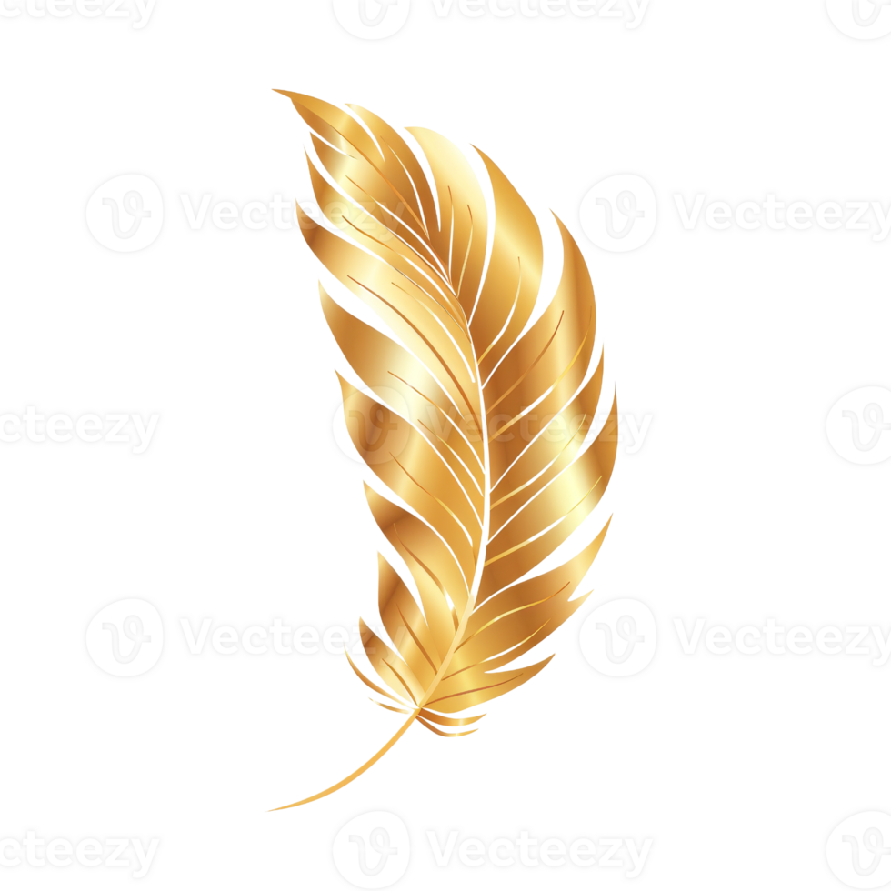Golden feather isolated on transparent background. illustration for your design. png
