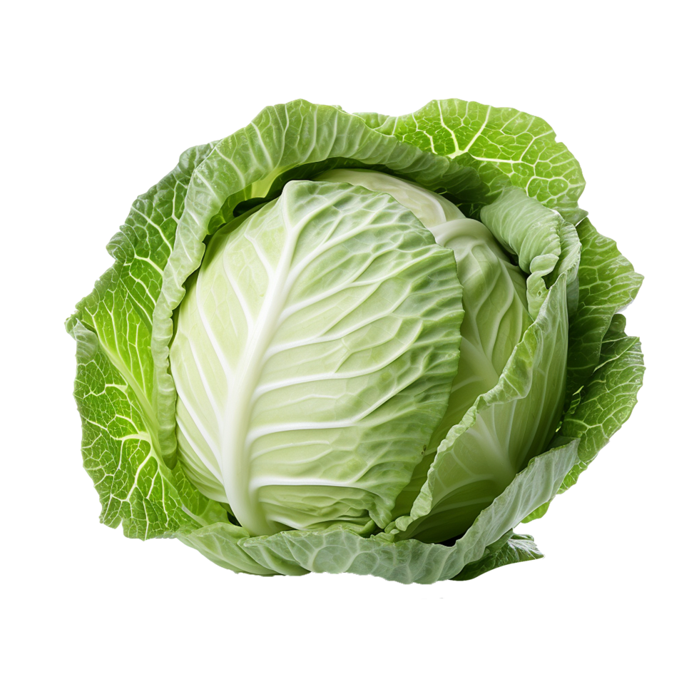 Green fresh cabbage isolated on transparent background png