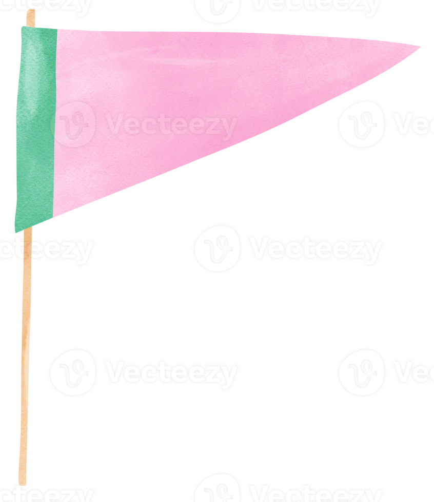 Triangle sport flag watercolor green and pink png