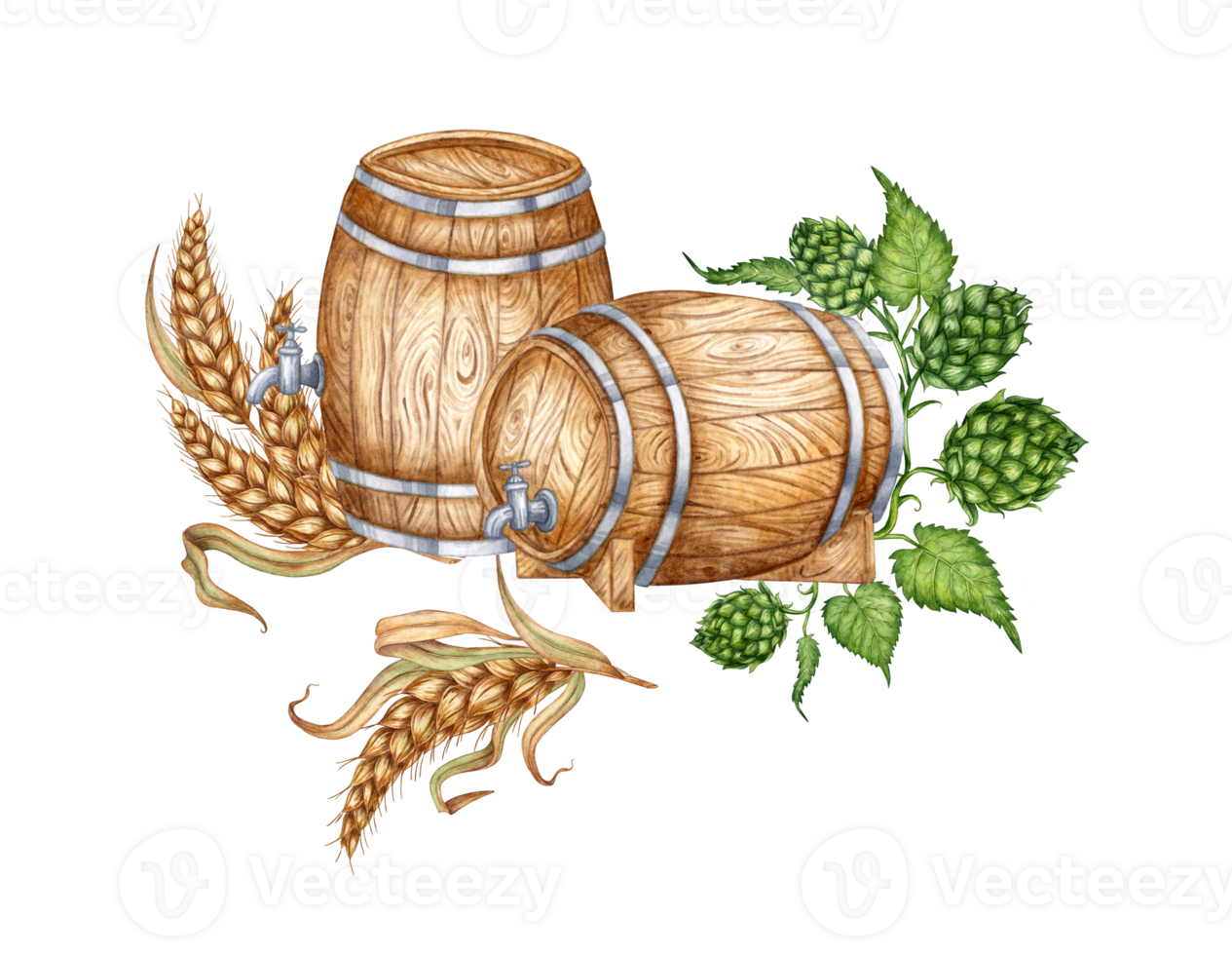 Two wooden barrels with a tap, hops and ears of wheat for beer, wine, cognac, rum, brandy and other alcoholic drinks watercolor illustration. Isolated from the background. Suitable for interior png