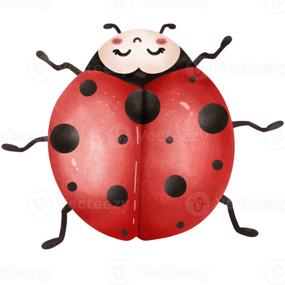 ThePosture of a Little ladybug png