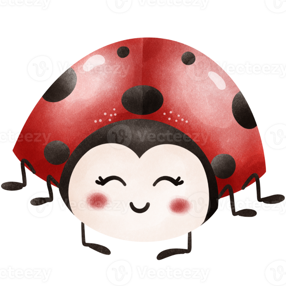 ThePosture of a Little ladybug png