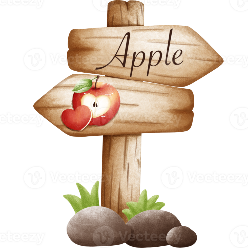 Delicious red apples png
