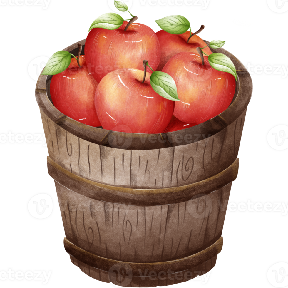 Delicious red apples png