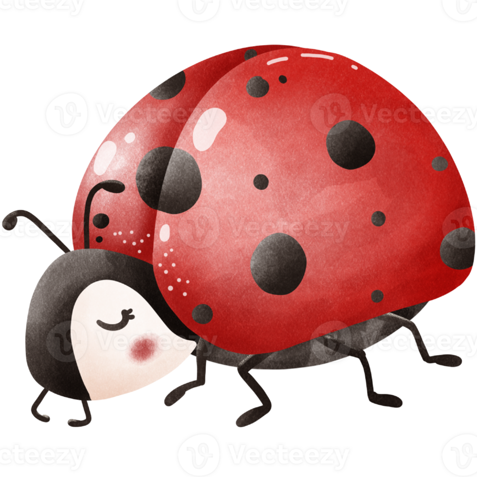 ThePosture of a Little ladybug png
