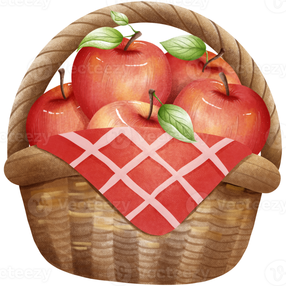 Delicious red apples png