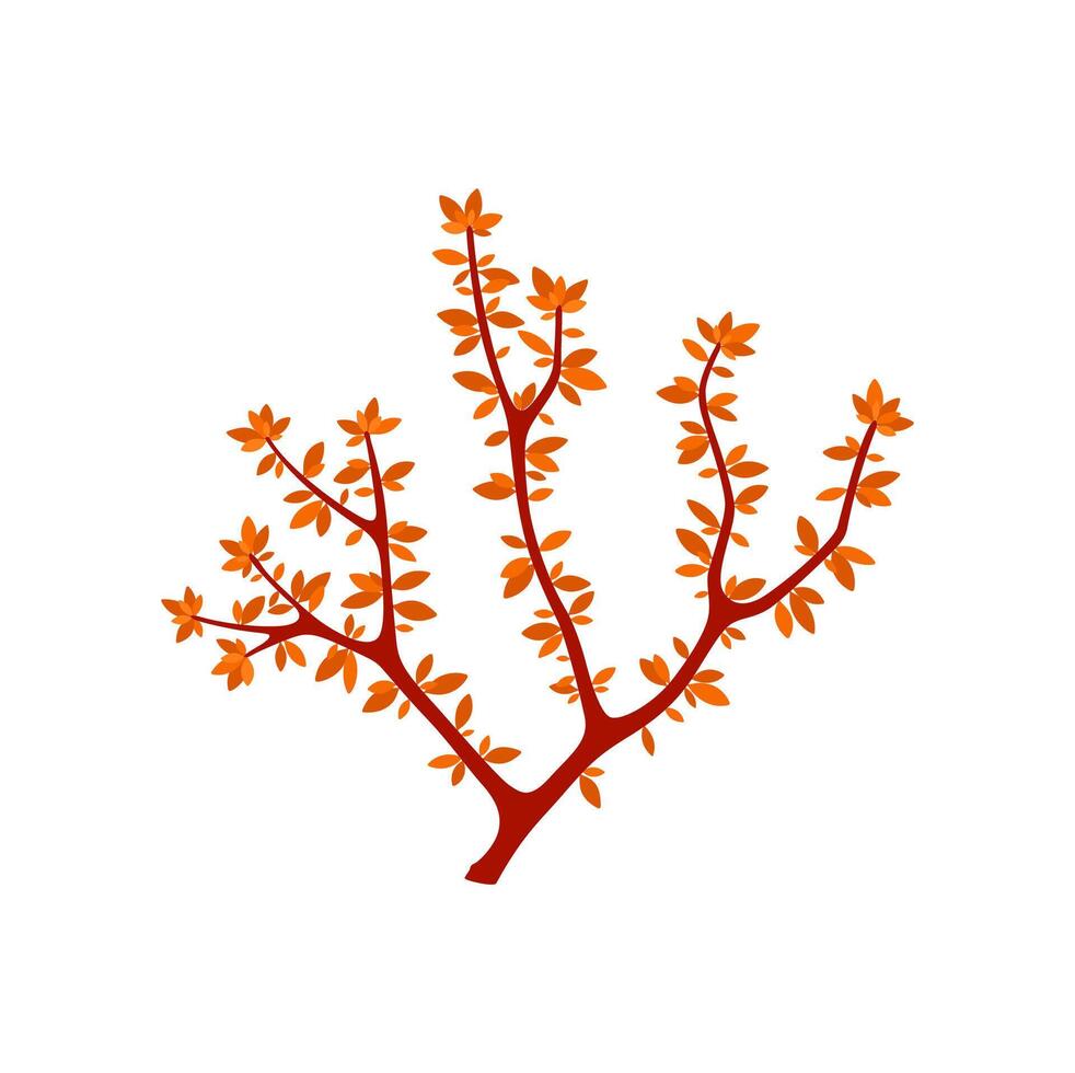 Sea fan-coral isolated soft anemone seaweed vector