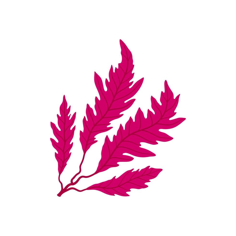 Purple branch of seaweed plant with leaves vector
