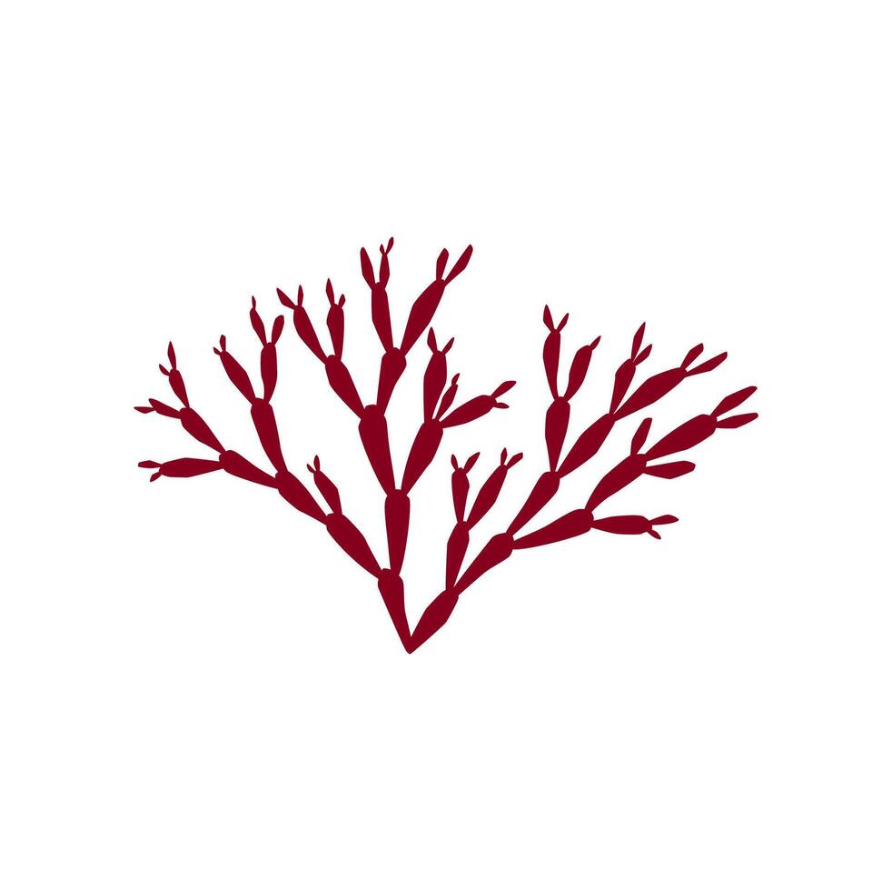 Hard coral, seaweed, aquatic underwater organism vector