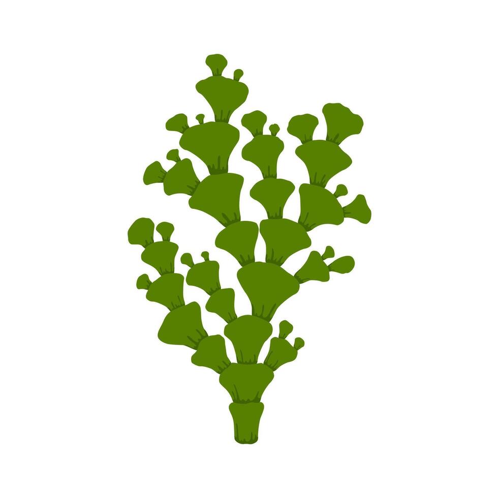 sea coral in shape of branch isolated plant vector