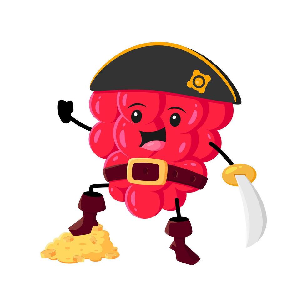 Cartoon raspberry corsair character with loot vector