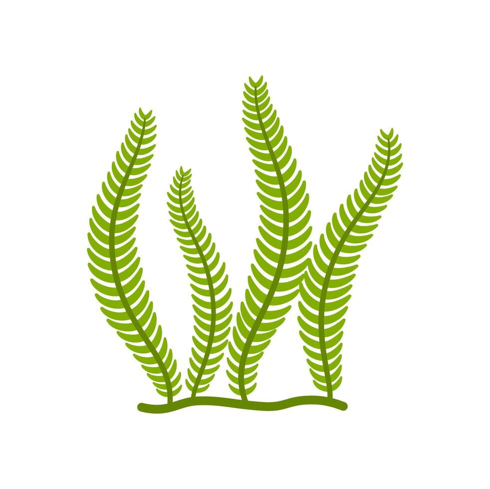 Gorgonian seaweed bushy soft coral cartoon plant vector