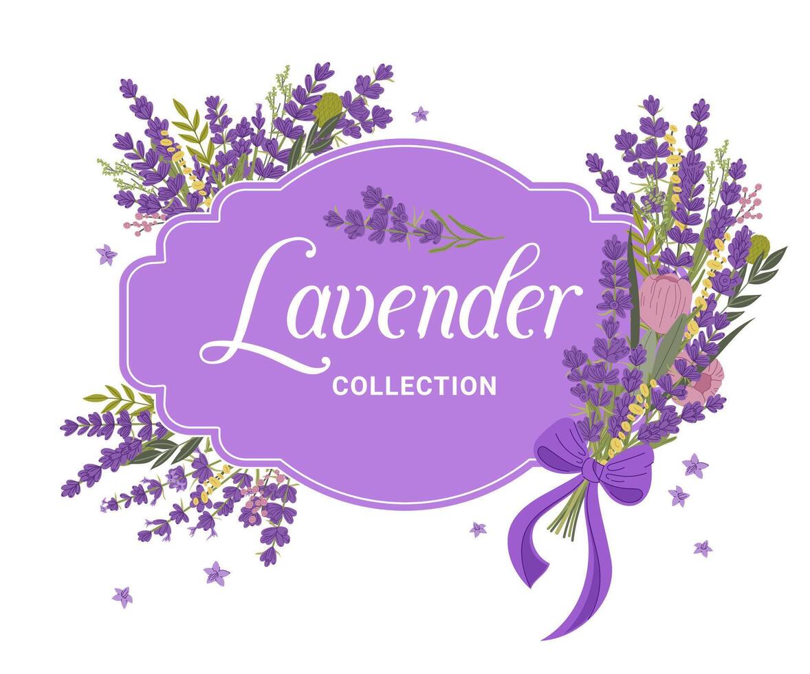 Lavender floral frame violet and purple flowers vector