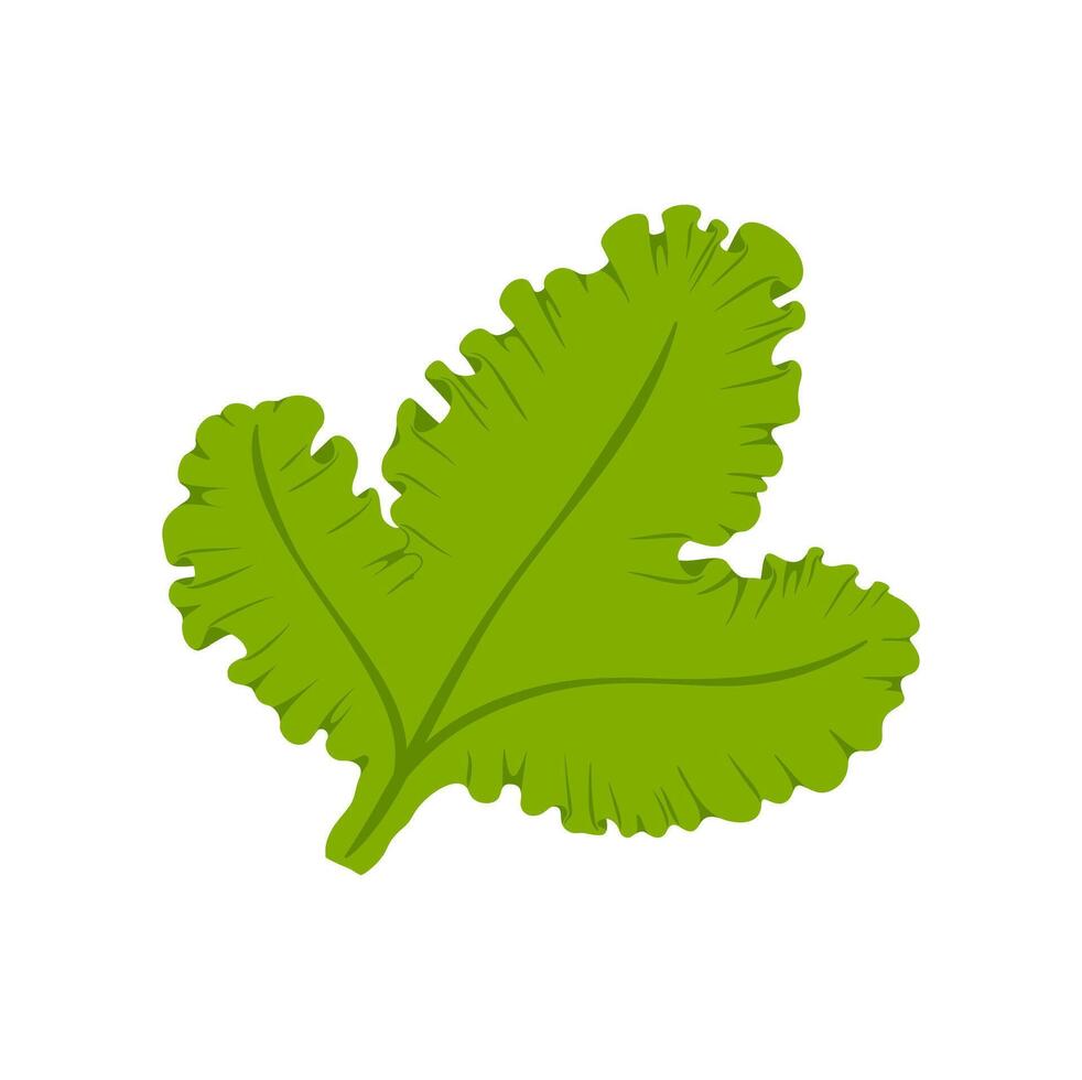 Soft seaweed green plant, cartoon color leaf icon vector