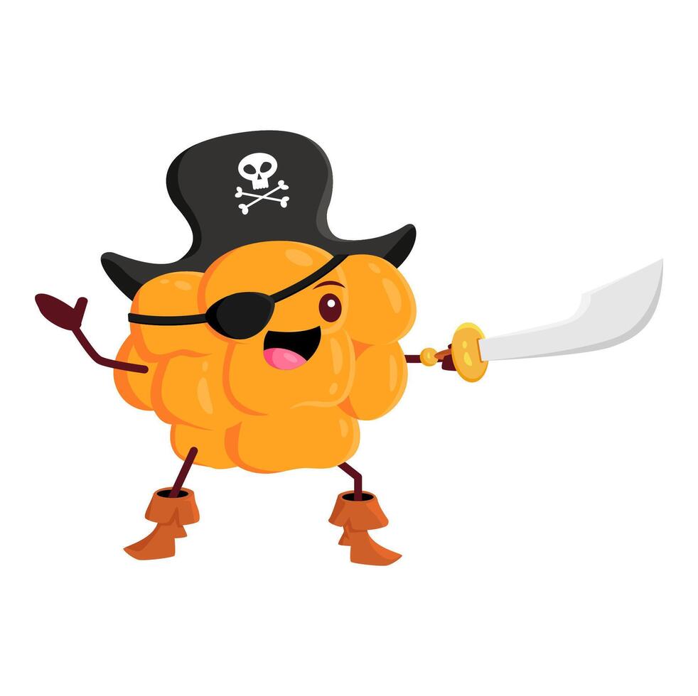 Cartoon funny cloudberry pirate captain character vector
