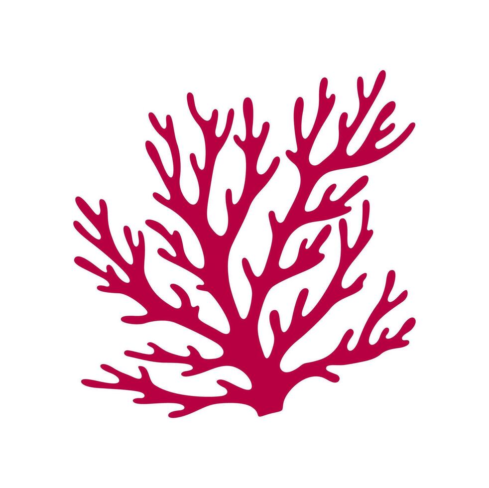 Hard coral, seaweed, aquatic underwater organism vector