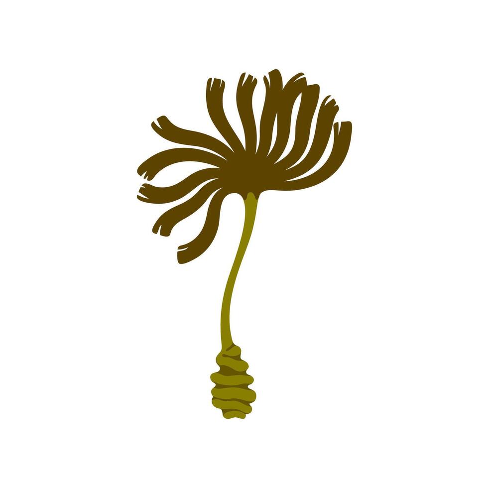 Underwater green algae seaweed, aquarium sea plant vector