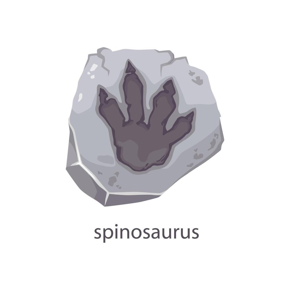 Spinosaurus dinosaur footprint stone fossil vector