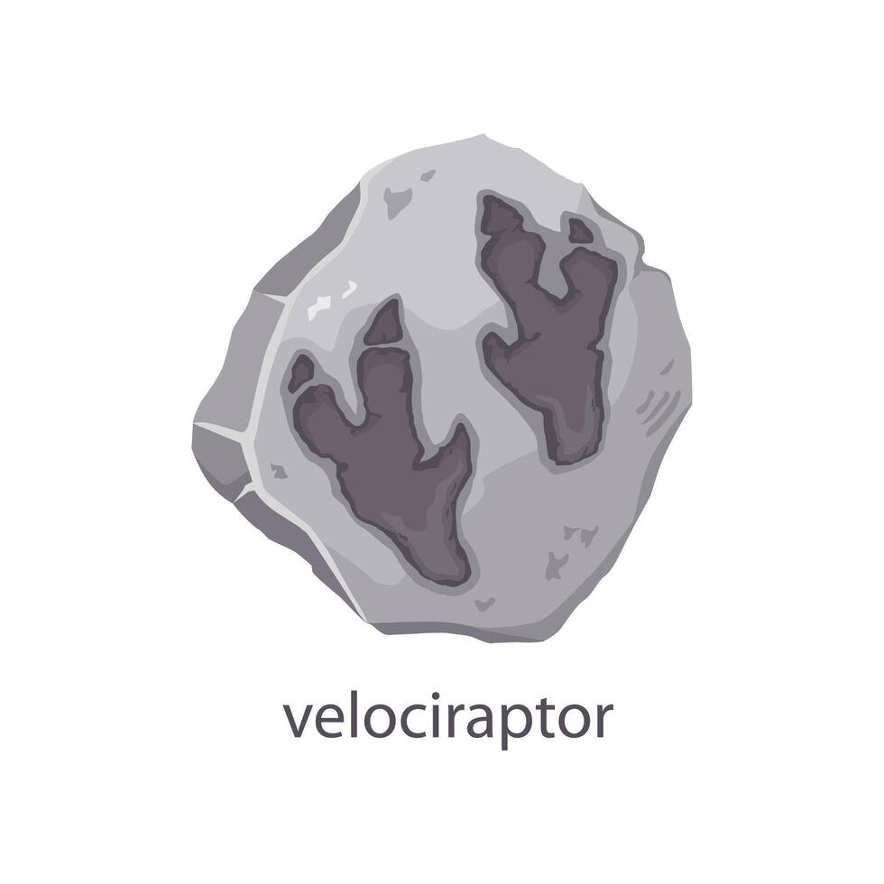 Velociraptor dinosaur footprint stone fossil vector