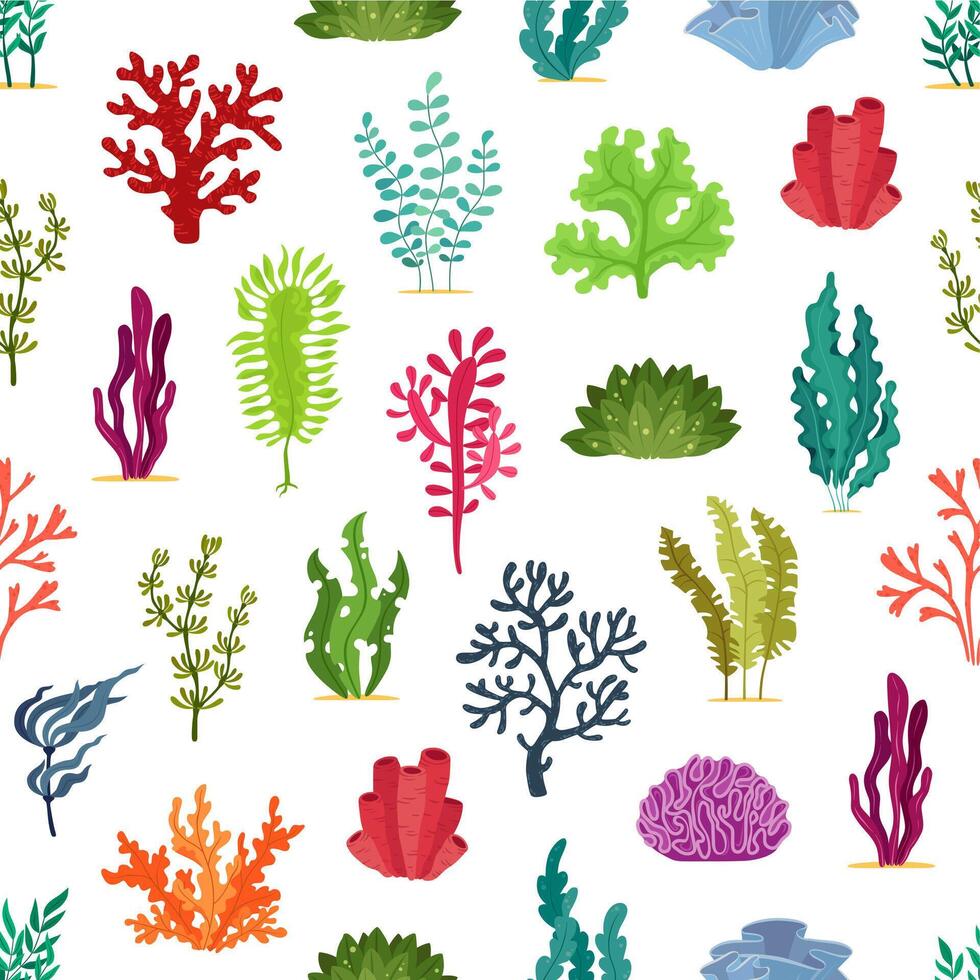Underwater seaweed algae plants seamless pattern vector